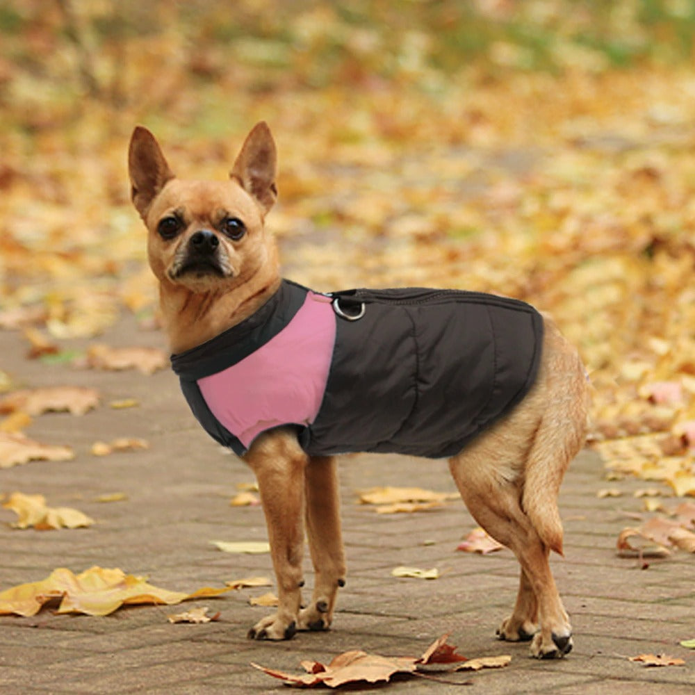 WeatherWoof | Wasserdichte Hundejacke – Allwetter-Hundemantel für Komfort und Stil