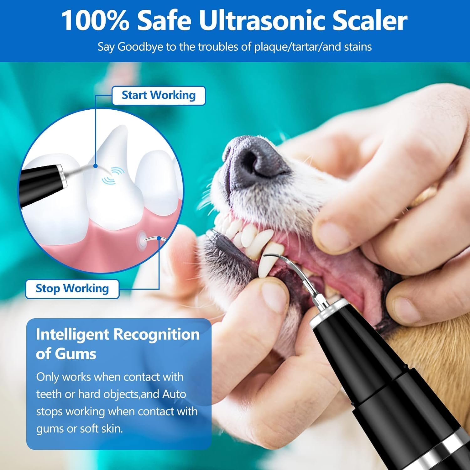 Professioneller Ultraschall-Zahnsteinentferner für Haustiere – Sanfte & Effektive Zahnpflege für Hunde und Katzen