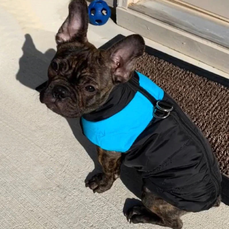 WeatherWoof | Wasserdichte Hundejacke – Allwetter-Hundemantel für Komfort und Stil