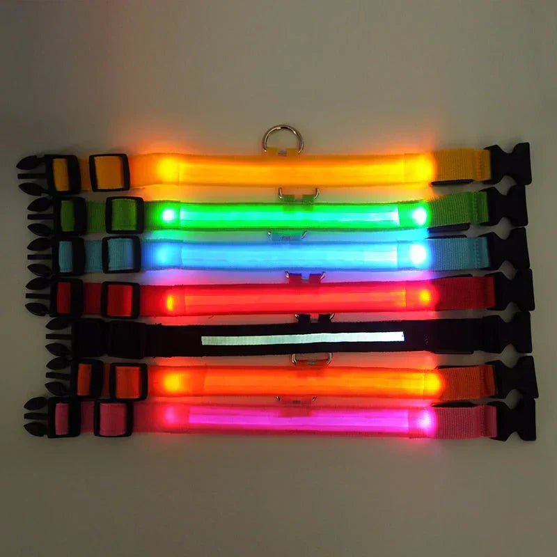 GlowPets | LED-Halsband für Hunde & Katzen – Sicher, beleuchtet, für Nachtspaziergänge