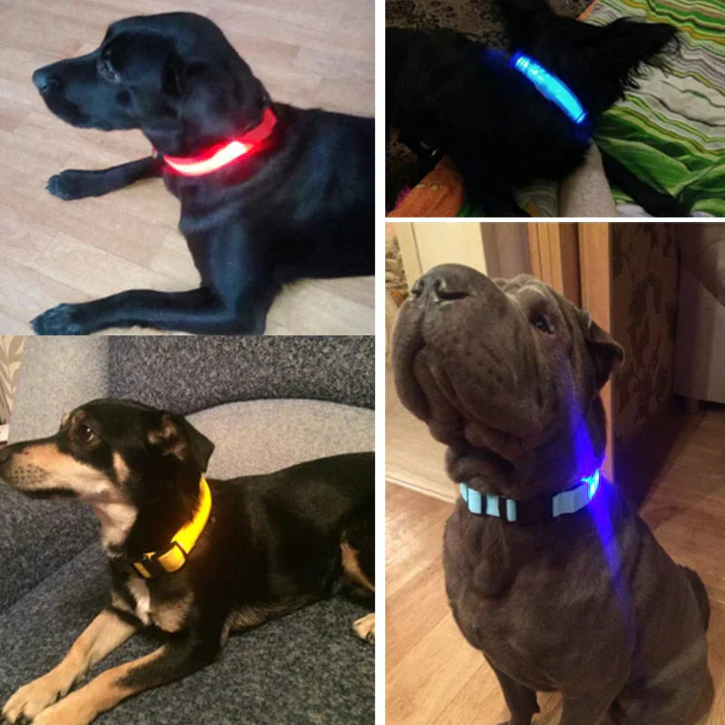 GlowPets | LED-Halsband für Hunde & Katzen – Sicher, beleuchtet, für Nachtspaziergänge