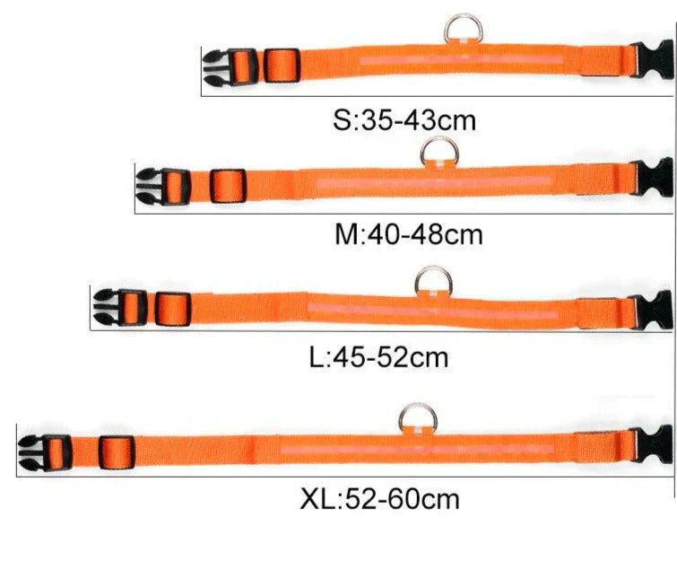 GlowPets | LED-Halsband für Hunde & Katzen – Sicher, beleuchtet, für Nachtspaziergänge