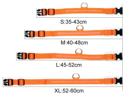 GlowPets | LED-Halsband für Hunde & Katzen – Sicher, beleuchtet, für Nachtspaziergänge