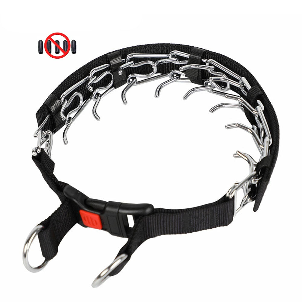 PawGuard: Sicherer & Bequemer Hundehalsband für das Training