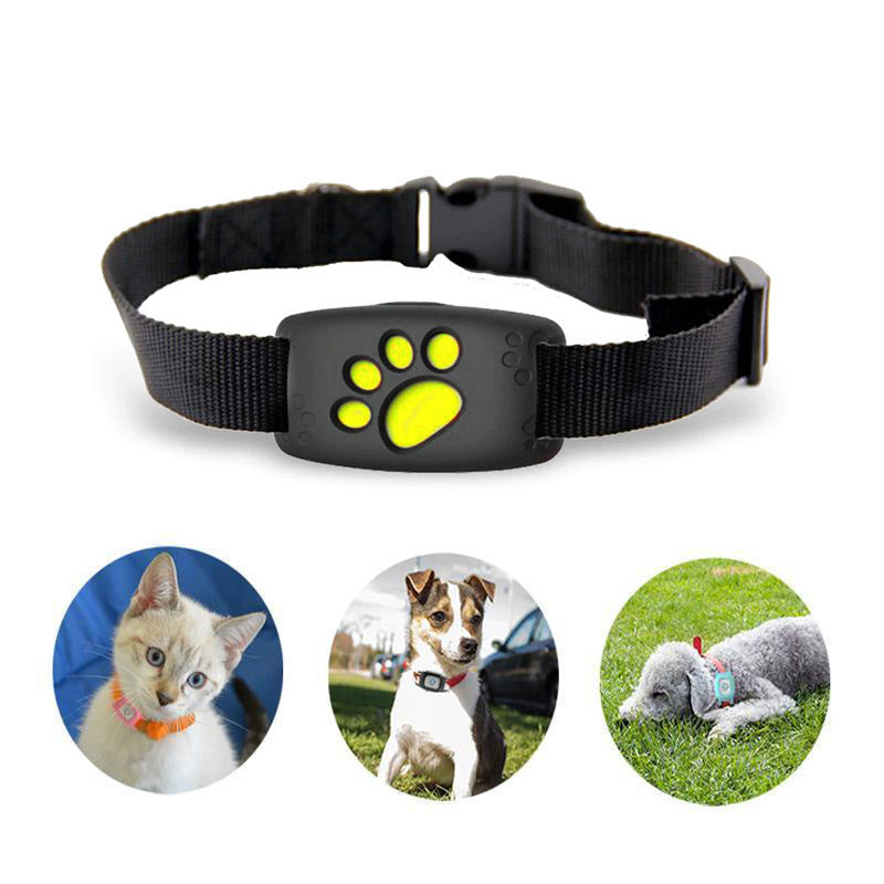 PawTrack | Intelligenter GPS-Katzenhalsband – Echtzeit-Ortung für Haustiersicherheit
