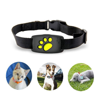 PawTrack | Intelligenter GPS-Katzenhalsband – Echtzeit-Ortung für Haustiersicherheit