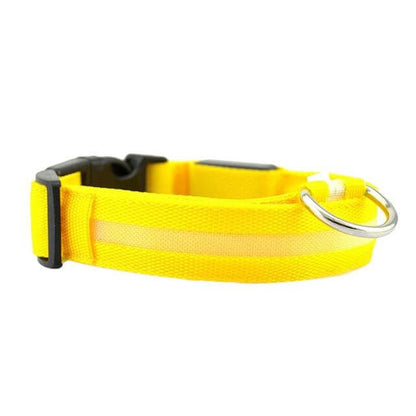 GlowPets | LED-Halsband für Hunde & Katzen – Sicher, beleuchtet, für Nachtspaziergänge