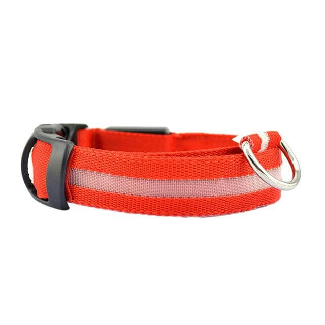 GlowPets | LED-Halsband für Hunde & Katzen – Sicher, beleuchtet, für Nachtspaziergänge