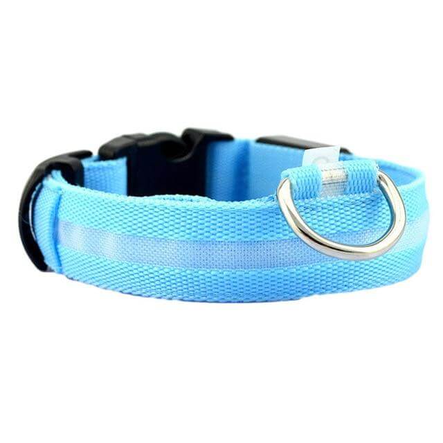 GlowPets | LED-Halsband für Hunde & Katzen – Sicher, beleuchtet, für Nachtspaziergänge