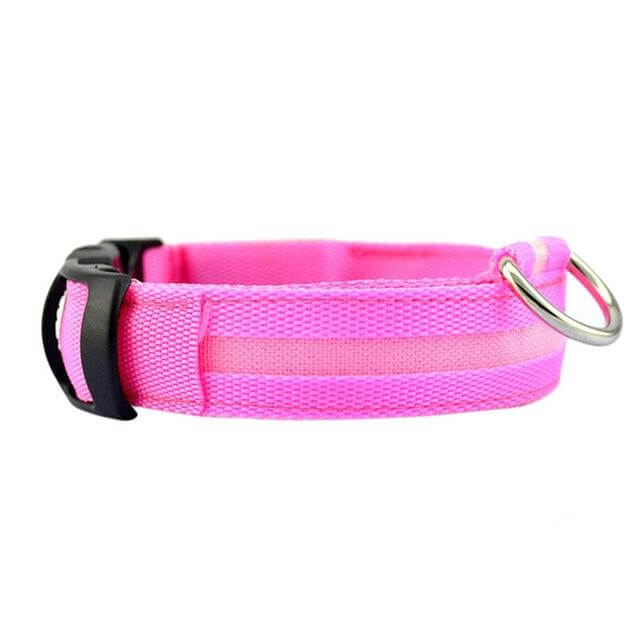 GlowPets | LED-Halsband für Hunde & Katzen – Sicher, beleuchtet, für Nachtspaziergänge
