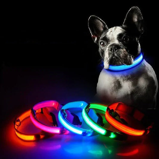 GlowPets | LED-Halsband für Hunde & Katzen – Sicher, beleuchtet, für Nachtspaziergänge