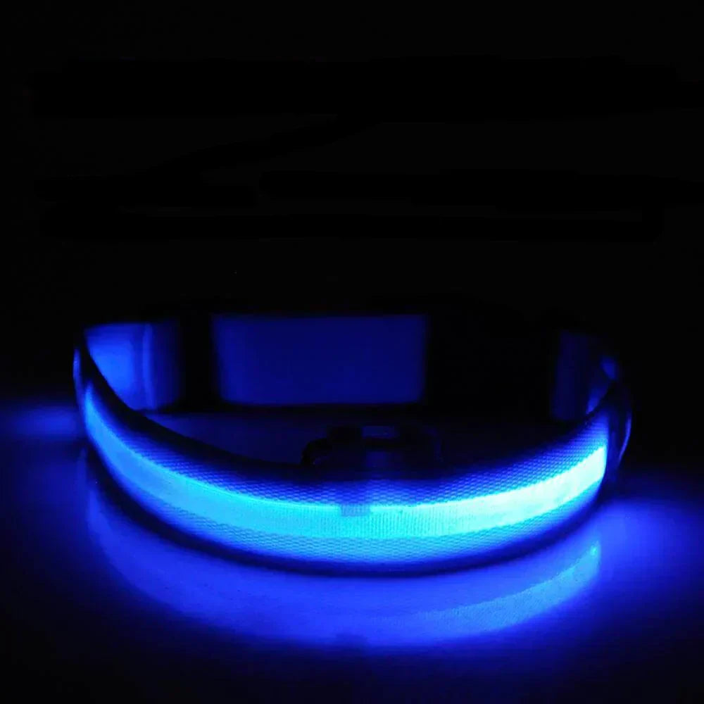 GlowPets | LED-Halsband für Hunde & Katzen – Sicher, beleuchtet, für Nachtspaziergänge