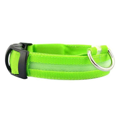 GlowPets | LED-Halsband für Hunde & Katzen – Sicher, beleuchtet, für Nachtspaziergänge