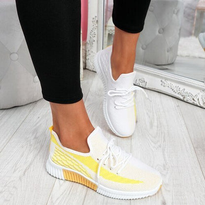 Mesh 3.0