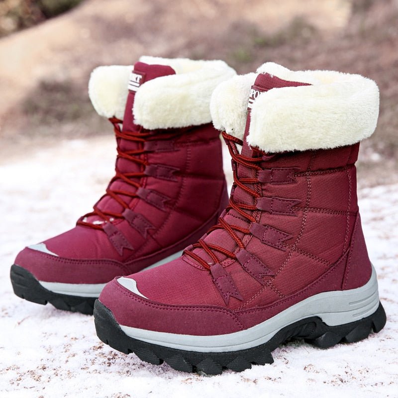 Winter Sport