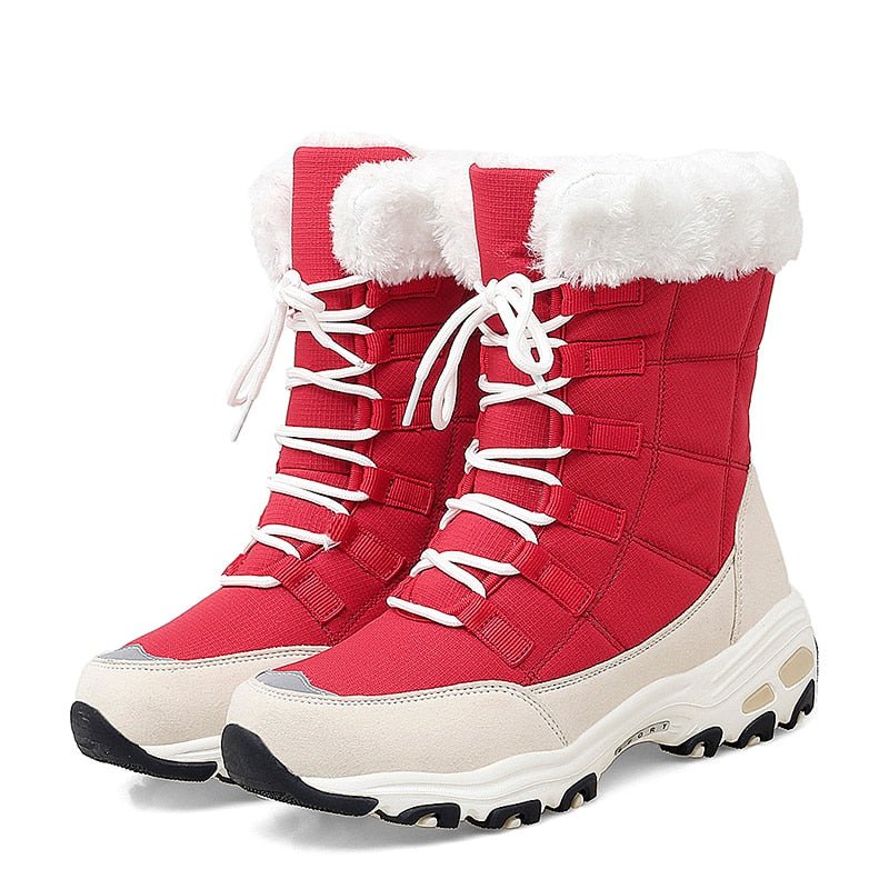Winter Sport