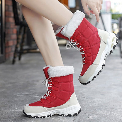 Winter Sport