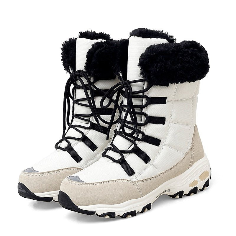 Winter Sport